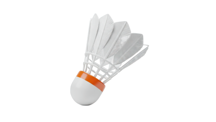 Badminton Shuttlecock