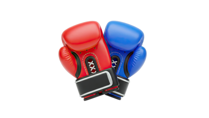 Red and Blue Boxing Gloves
