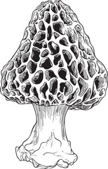 morel mushroom illustrated as a black vector outline with simplified honeycomb texture on the characteristic tall cap