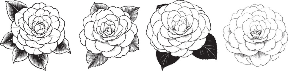 rounded multilayer peony-style flower drawn as a soft black vector outline with detailed contour petals