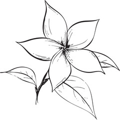 star-shaped stephanotis flower illustrated as a crisp black vector outline with pointed symmetrical petals