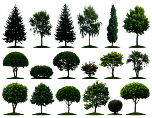 Green park landscape with bushes and trees, cut out__