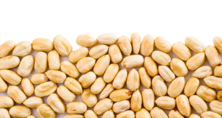 Peanut Pile Up: A close-up shot features a collection of shelled peanuts, piled together in an appetizing display. Capturing the simplicity and savory nature of these beloved nuts.