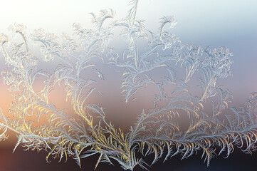 Symmetrical Tree Heart Frost at Sunset