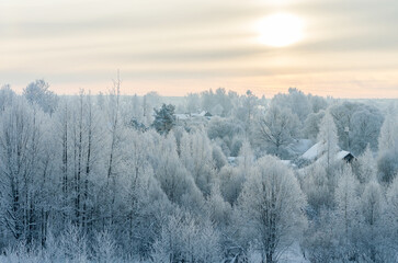 soft winter sun over frosty forest village