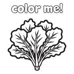 Letus Vegetable Coloring Page for Kids – Simple Healthy Food Outline Printable © Design Hunter 