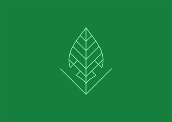 A leaf line style logo with elegant organic lines, representing nature, growth, sustainability, harmony, and eco-friendly values