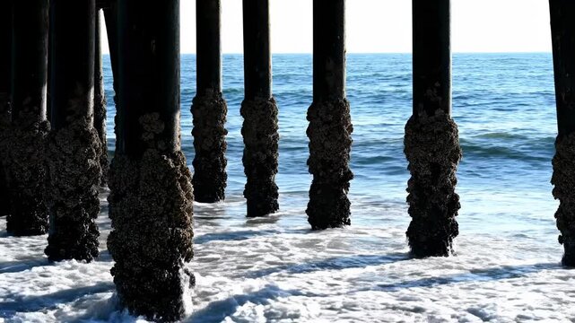 Ocean waves crash against pier pilings, with barnacles and sea spray