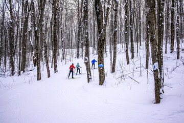 Nordic skiers ascending a steep wooded trail during winter, using poles for balance and uphill technique on a snow-covered forest slope.