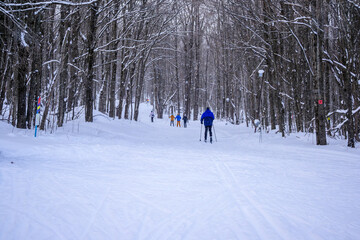 Group of cross-country skiers moving along a groomed forest trail in winter on the Niagara Escarpment, with snow-covered trees lining the path.