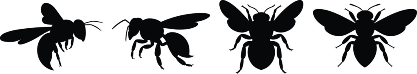 Bee silhouette set illustration, flying honey bee collection, black insect icons, wildlife symbol design isolated on white background