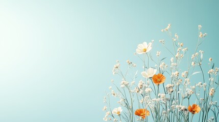 Delicate wildflowers bloom against a serene pale blue sky, showcasing white and orange petals amidst wispy stems.