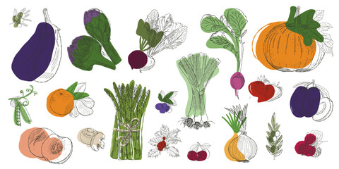 Hand drawn vegetables and fruits illustration set in modern sketch style with fresh food elements