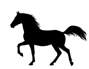 Obraz premium Black horse silhouette prancing on a white background, mane flowing in wind, tail up