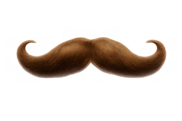 Brown handlebar mustache with curled ends creating a vintage style for masculine facial hair grooming concepts