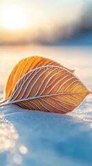 Two fallen autumn leaves with frost detail resting on a sparkling snow surface with warm sunlight illuminating the scene.