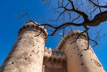 Fototapete bei efototapeten.de bestellen   