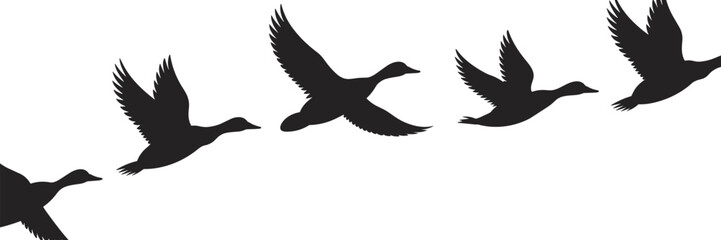 Flying birds silhouette illustration, migrating geese formation, freedom nature concept, wildlife sky scene, black white vector design, movement, travel, art