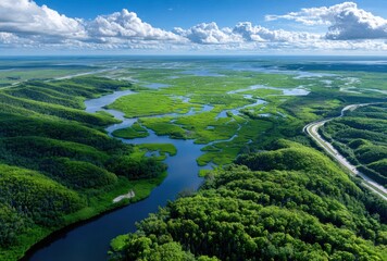 aerial view of the everglades marshes, an aerial photograph with lots of green and brown colors