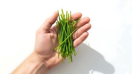hand holding chives