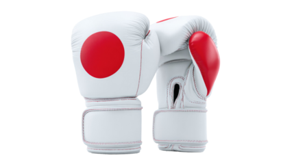 Japanese Boxing Gloves