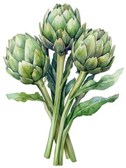 Fototapeta premium Watercolor illustration of three fresh green artichokes with stems and leaves