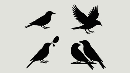a striking visual depiction of several black birds in various poses showcasing flight perching and interaction set against a neutral background high quality professional detailed modern © Raian