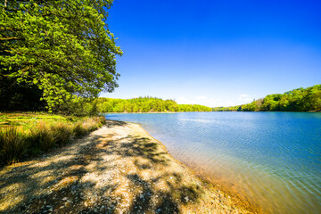 View from the Neye Dam of the surrounding landscape near Wipperf&uuml;rth. Nature at the reservoir.
