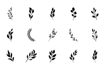 Minimalist Botanical Leaf and Branch Vector Set Elegant Nature Silhouettes Collection