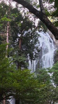 Beautiful Scenic Waterfall Cascade Flowing Down Rocky Cliff Through Lush Green Tropical Forest Tree Jungle Creating Peaceful Majestic Nature Landscape And Wild Travel Water Wilderness Environment View