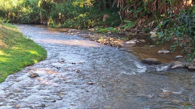 Small Gentle Shallow River Stream Flowing Quietly Over Stone Rocks Through Green Grassy Forest Park Nature Landscape Showing Calm Peaceful Water Environment On Relaxing Summer Morning Outdoor Scene