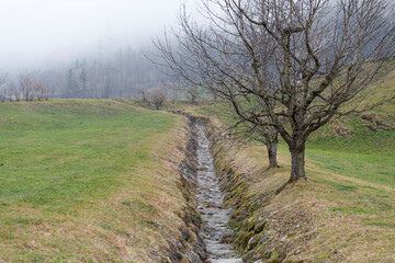 Scenic view of a creek in a foggy countryside during winter season.