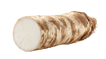 White carrot piece on black background surface close up of white carrot section against dark backdrop