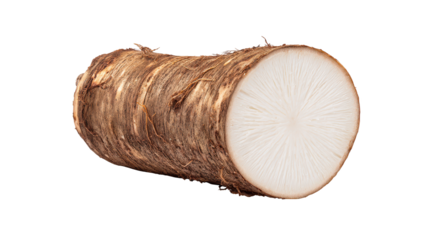 Coconut piece on black background focus on coconut piece highlights its texture and shape