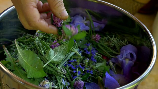 Caucasian woman put flowers in metal container for distillation process. Slow motion 4K
