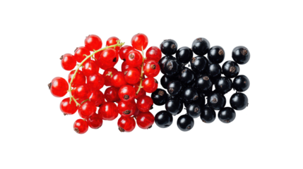 Vibrant black and red currants offer healthy tasty treat delicious black and red currants burst with color and flavor