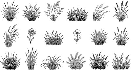 Black wild grass silhouettes bundle, cattail reed collection, meadow plant icons, botanical vector elements, fern leaf foliage, swamp vegetation, nature garden flora. © MdHasan