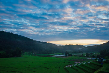 A beautiful morning landscape of nature sunrise and morning mist over rice fields at Doi Inthanon, Mae Klang Luang, Chiang Mai, Thailand