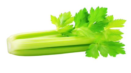 Fresh celery leaves present healthy green appearance close up view highlights intricate leaf patterns