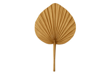 Dried natural palm leaf fan on transparent background