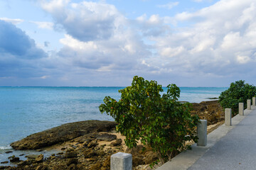 沖縄で見つけた南国の豊かな自然と文化を感じる風景