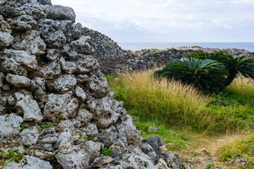 沖縄で見つけた南国の豊かな自然と文化を感じる風景