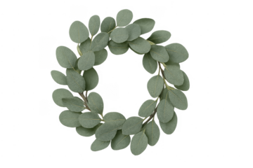 Eucalyptus leaves wreath creating a round frame