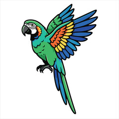 blue and yellow macaw