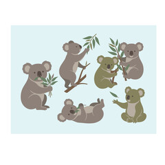 Obraz premium Koalas in various poses.