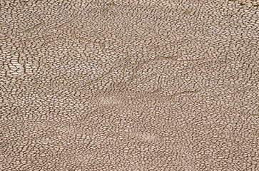 Dry surface of a dam. Cueva Grande Dam. Cueva Grande. San Mateo. Gran Canaria. Canary Islands. Spain.