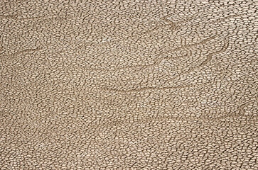Dry surface of a dam. Cueva Grande Dam. Cueva Grande. San Mateo. Gran Canaria. Canary Islands. Spain.