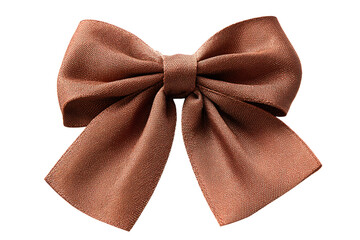 Brown Satin Ribbon Bow