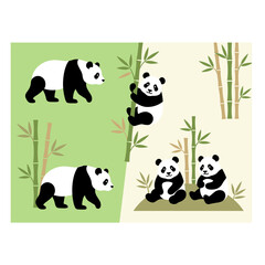 Panda Bears Playing Outdoors.