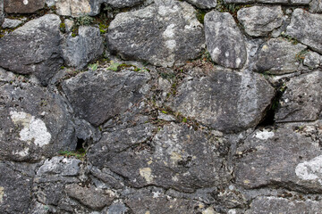Textured background of old stone wall with moss and lichen. Rustic design.